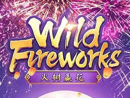 Wild Fireworks